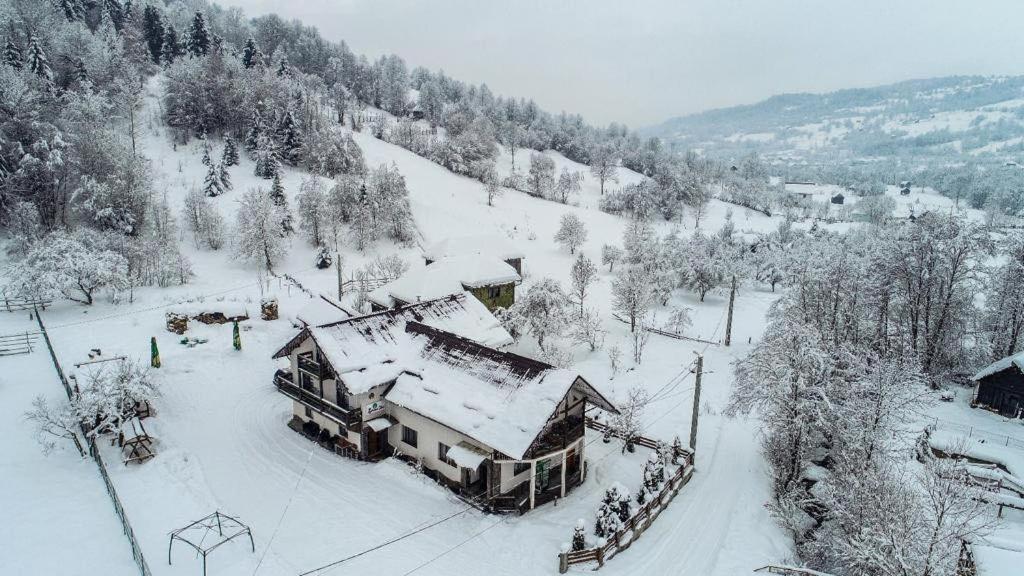 Lacrima Izei Villa Săcel Buitenkant foto
