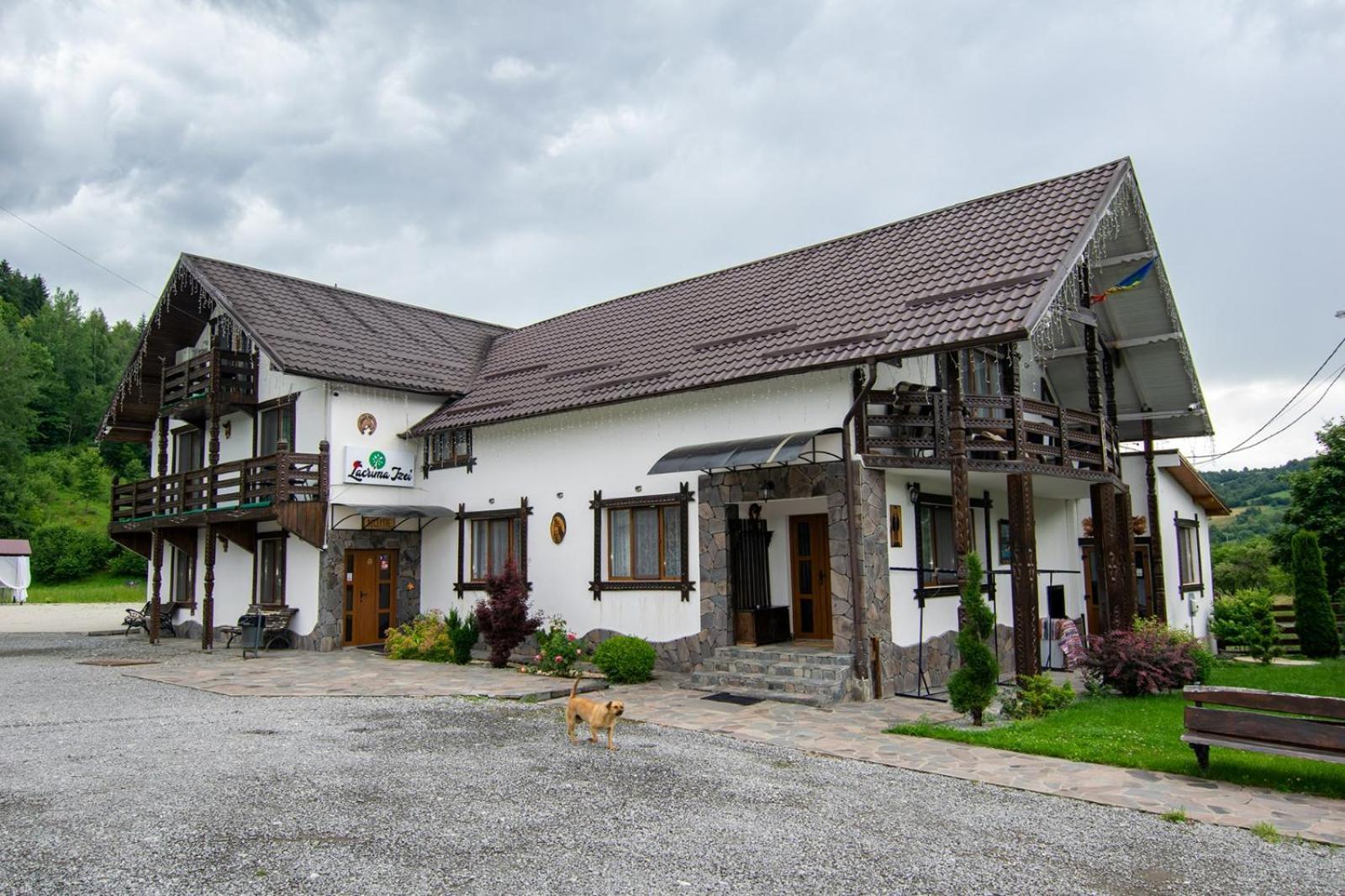 Lacrima Izei Villa Săcel Buitenkant foto