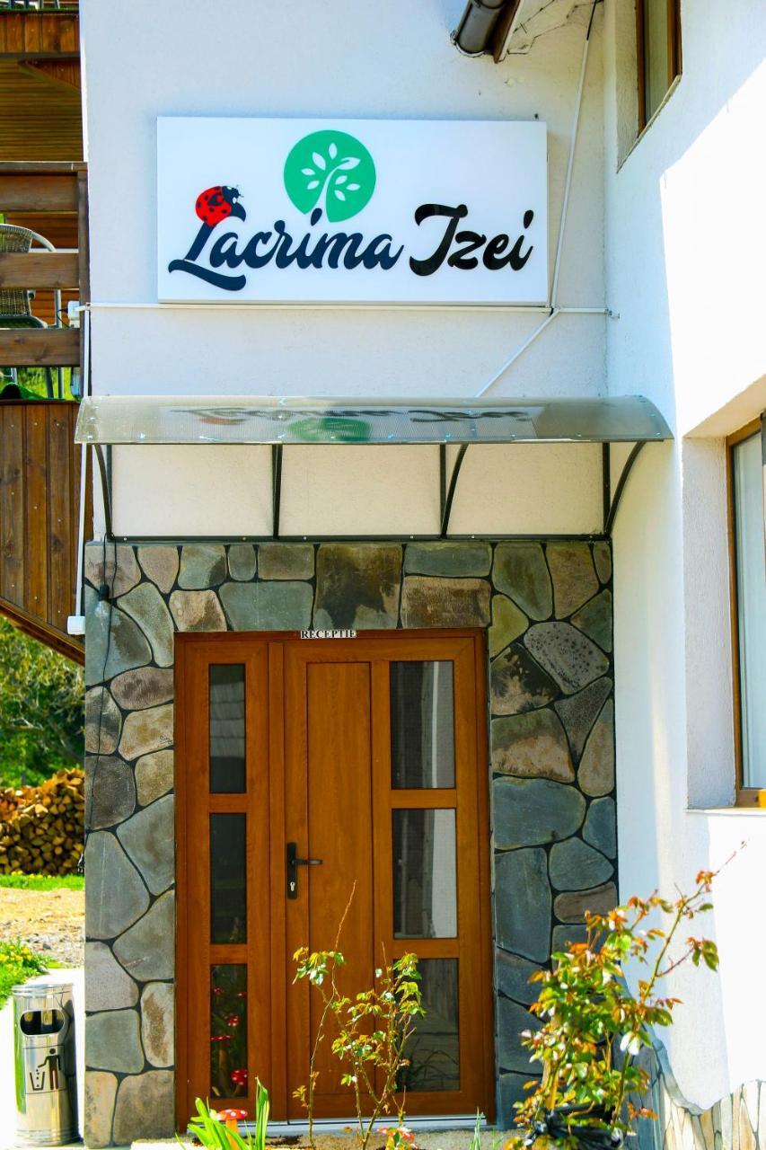 Lacrima Izei Villa Săcel Buitenkant foto