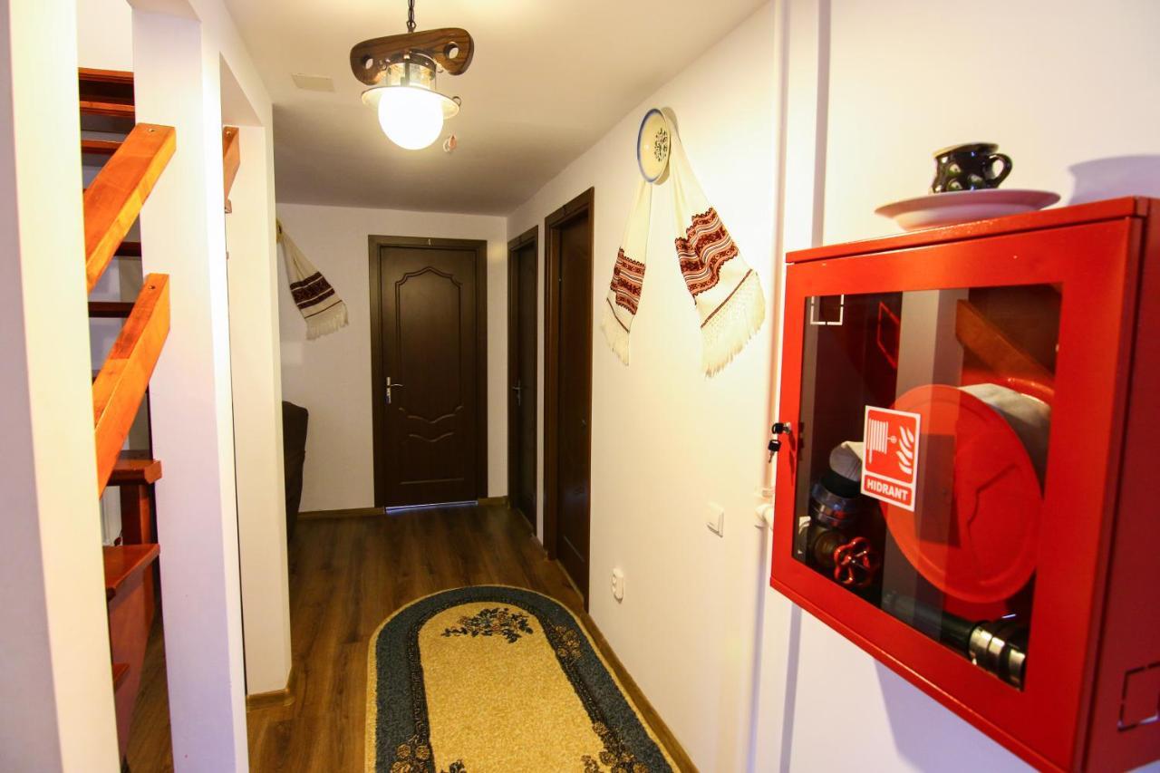 Lacrima Izei Villa Săcel Buitenkant foto
